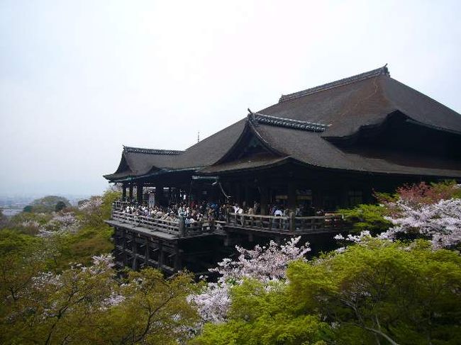 　世界に誇る、日本を代表する観光地。<br />　その京都を代表する観光地の一つ、清水寺。<br />　有名な舞台がある国宝・本堂は当然として、その他にも色々見るところがあるんだなと・・・<br />　小学校の修学旅行以来の私は、まるで初めて来たかのような感覚でした。<br /><br /><br />　建物が集中しているために目線をあげるとまるでタイムスリップしたみたい。<br /><br />　ただし目線を落とすと・・・<br /><br />　人！<br />　人！<br />　人！<br /><br />　やれやれ＾＾；<br />　人の波にのまれながら、私たちは本堂から奥の院へ流されていくのでした〜＞＜<br /><br /><br />　挫折禁止（松村博司の貧乏旅日記）<br />「桜舞う京都・梅小路ＳＬ館の旅」<br />http://bonkuraii.blog56.fc2.com/blog-category-39.html