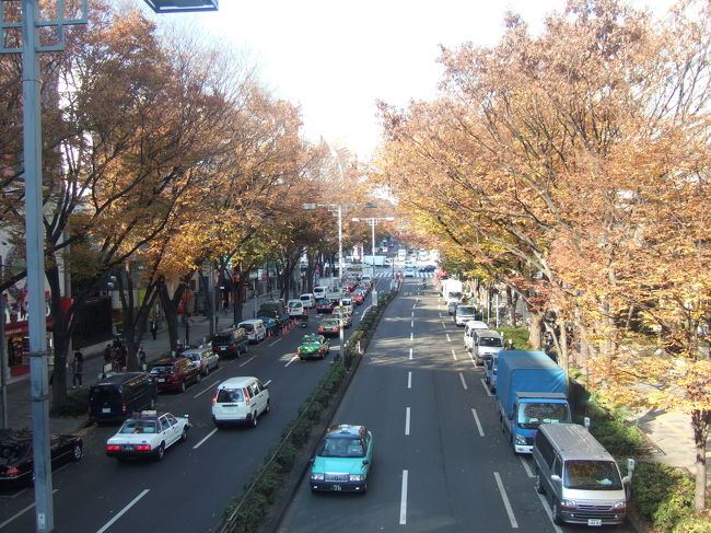 今日は訳ありでお休み~♪<br />チーまで学校おサボりで<br />二人で表参道に私の美容室にお付き合い。<br /><br />枯葉も散って、素敵★な冬を迎える表参道に。。。