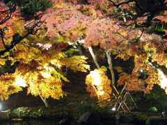 2007晩秋の鎌倉