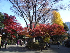 水道橋　小石川後楽園紅葉