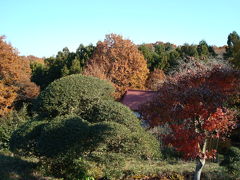 里山ではまだ紅葉が