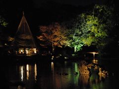 駒込　六義園　紅葉のライトアップ