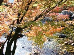 名古屋で過ごす休日♪　【白鳥公園＆あつた蓬莱軒編】