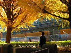 黄葉　東京大学本郷キャンパスー?