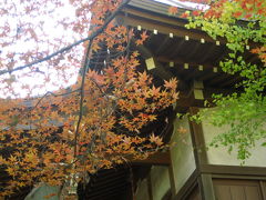 紅葉求めて川越散策その２：三芳野神社と御嶽神社で紅葉狩り