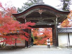 京都　怒涛の紅葉　嵯峨野・東福寺