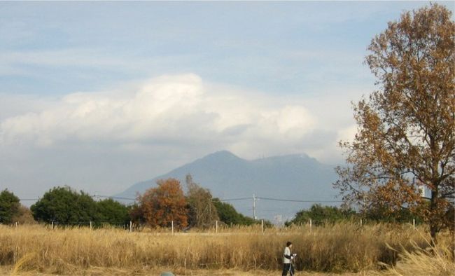 つくば市の研究学園都市にある<br />「高エネルギー加速器研究機構」で茅刈りのボランティアに参加してきました。<br />茨城県石岡市の八郷地区に点在する茅葺き民家を保存する事を目的に<br />市民団体”やさと茅葺き屋根保存会”が毎年行っている行事です。<br />八郷の茅葺き住宅の所有者さん、茅葺き屋根職人の”茅手&quot;の方々、それに学生さんやボランティアが集まり<br />広い敷地の中に生えているススキを刈るのです。<br /><br />国の重要な研究施設である「高エネルギー加速器研究機構」では、超ハイテク施設で、科学の最先端研究が行われています。<br />めったに入れないこの施設で、超ローテク（？）な茅葺き屋根用の良質な茅が手に入る、というのもおもしろいですが、<br />茅葺き住宅の当家の方、<br />茅手の職人さん、<br />それに保存会事務局長さんからも興味深いお話が伺えて<br />大変有意義な一日を過ごす事ができました。<br /><br />最近プチ旅行で見かける美しい茅葺き屋根の建物に興味を持っていたところですが、<br />茅刈りのボランティアに参加して、<br />深みにはまりそ〜な予感です・・・。