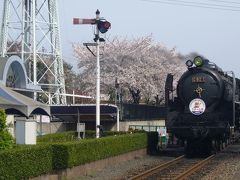 梅小路蒸気機関車館１「桜舞う京都・梅小路ＳＬ館の旅　その６」