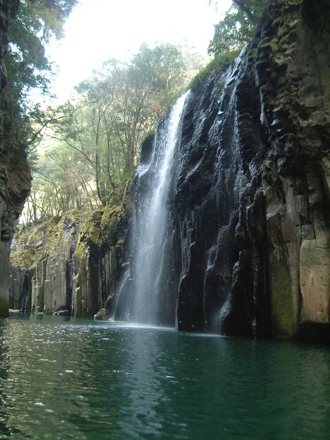 夢に見た九州の旅★<br />二日目も大移動です!<br /><br />熊本城では写真は撮れなかったけど、<br />塀をのぼる忍者に会い、<br />なにより桜の熊本城400年記念を見ることが出来ました★<br /><br />高千穂に行きたい!<br />夢見た高千穂。<br />幻想的でステキでした★