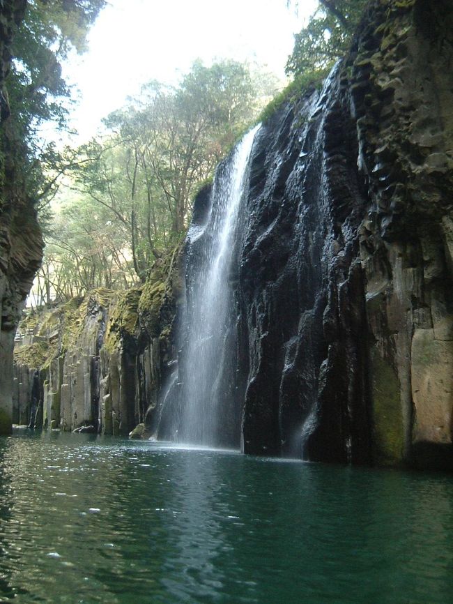 夢に見た九州の旅★<br />二日目も大移動です！<br /><br />熊本城では写真は撮れなかったけど、<br />塀をのぼる忍者に会い、<br />なにより桜の熊本城４００年記念を見ることが出来ました★<br /><br />高千穂に行きたい！<br />夢見た高千穂。<br />幻想的でステキでした★