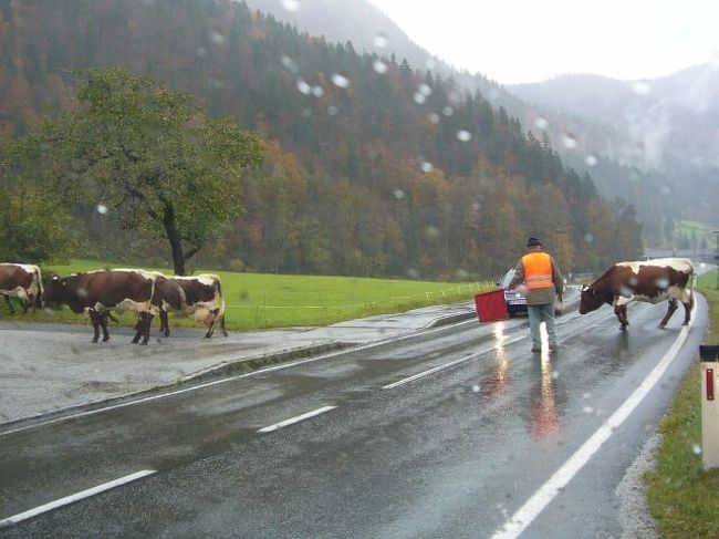 19日雨<br />ドイツ・カーニクセ:<br />オーストリアのカプルンを出発してヒットラーの山荘(ケールシュタインハウス)に出かけることにしましたた。ドイツ入国はパスポートの提示もなく国境を通過するという感じはしなかった。