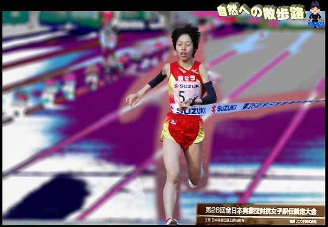  日本の女子長距離界を代表するトップランナーが美濃路を彩る。<br />..師走の美濃路の風物詩..今年も岐阜－大垣を結ぶコースで<br />より強く、より速く、美しき女の日本一をかけた熱き闘い…<br />第２６回全日本実業団対抗女子駅伝競走大会は、<br />ドラマは，最後の最後に見せ場を感激を与えてくれました。<br />アンカーの弘山晴美先輩にトップでゴールテープを切らせたい！　<br />その思いが単なる4連覇を目指す三井住友海上を上回った。<br />あの劇的な感動をもう一度と思うが<br />第２7回全日本実業団対抗女子駅伝競走大会は、<br />同じ日に..岐阜瑞浪で「バサラカーニバル２００７」<br />毎年.～ぎ ふ 女 子 駅 伝～へ行くものの<br />カメラ仲間連中を誘って..バサラカーニバルへ<br />肝心な私がいないので..クレームがあったので<br />今年は.バサラ瑞浪の関係者としてスタッフの腕章つけて<br />カメラマンとして..寒さに負けず.飛回りました。<br />.............................................................<br />瑞浪市.師走のＪＲ瑞浪駅前一帯で開かれ、<br />今年最後の..全国的なよさこいソーランのチーム集結<br />東海地方を中心に関東や関西など各地から１８０チーム、<br />約４６００人が参加した。<br />関係者など合わせて..さて総勢何人でしょうか<br />観客も一緒に踊る「バサラ大乱舞」<br />今年の踊り納めに若人の熱気に酔いしれた。 <br />その..くだりは後日にします。<br />まずは..去年の全日本実業団対抗女子駅伝競走大会<br />私のホームページより<br />http://kyo11.hp.infoseek.co.jp/2007.02.9.html<br />探して..見つからなければ<br />□ タイトル .... 12/16ぎふ　女子駅伝　下見<br />http://orangestudio.homeip.net/gallery/user.php?userid=25595<br />□ タイトル .... 第26回全日本実業団対抗女子駅伝<br />http://orangestudio.homeip.net/gallery/user.php?userid=25628<br />□ タイトル .... 美濃路を駆け抜ける<br />http://orangestudio.homeip.net/gallery/user.php?userid=25653