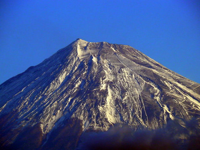 今年は本格的な冬の到来が早く、富士山の雪も随分下まで積もっています。<br />このところ富士山は見えるもののすっきり晴れた日が少なかったのですが、今朝は雲ひとつ無く晴れ上がって、裾野まで富士山が見えたので写真に収めてみました。