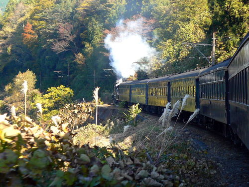 鉄道 日付印字機 1975年 TA1