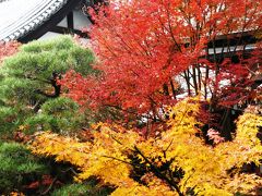 京都紅朱-6　暮もみじの永観堂　☆見返り阿弥陀も拝観できて