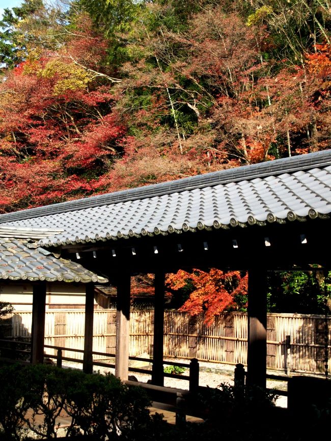 南禅寺方丈庭園の風情　☆水路閣に紅葉映えて