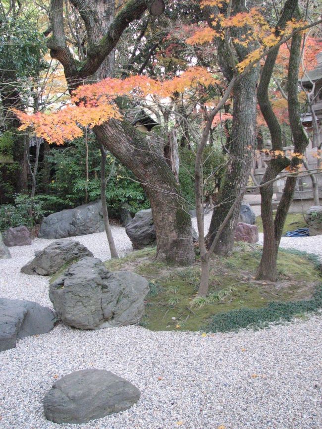 １２月１７日、午後３時過ぎに神戸の需要家訪問のついでに湊川神社を訪問した。<br />十年前の阪神大震災のときには鳥居等が全壊に等しいくらい破壊されていたが、すっかり立て替えられていて美しい神社になっていた。<br />境内の紅葉と庭の石組みが良く調和していて美しいのが印象的であった。<br /><br />湊川神社の歴史<br />「楠公さん」の愛称で親しまれている「湊川神社」。 ここには延元元（1336）年5月25日、足利尊氏と「湊川の戦い」で、弟正季とともに自刃した楠木正成（大楠公）やその長男正行（小楠公）がまつられています。 <br /><br /><br /><br /><br /><br /><br />＊写真は湊川神社にある境内の庭