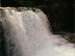 青い森の湖・清流