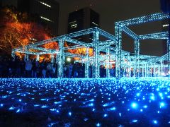 '07 クリスマスイルミネーションin Shiodome & Hibiya & Roppongi