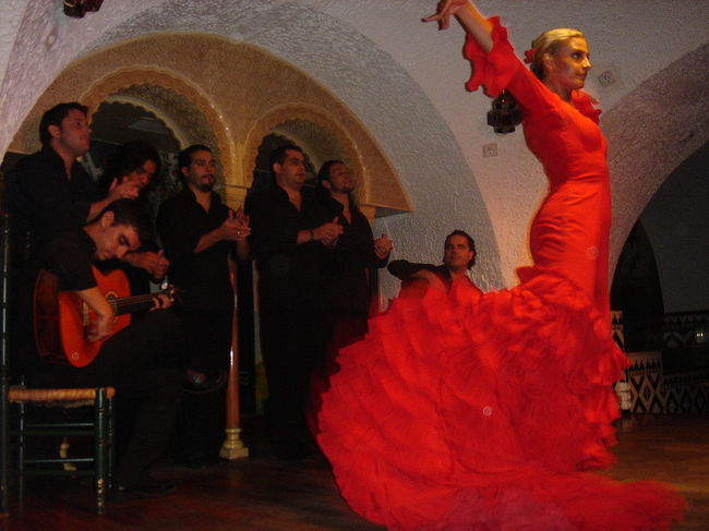 ●バルセロナ<br />●アルハンブラ宮殿<br />●マラガ<br /><br />バルセロナは街も綺麗でホントに面白いところでした。<br />本場のフラメンコに感激。<br />一見　華やかに見える踊りも<br />特に南のアンダルシア地方のフラメンコには<br />数々の困難、迫害を受けたジプシーたちの悲しい、<br />苦しい思いが込められているという事も初めて知りました。