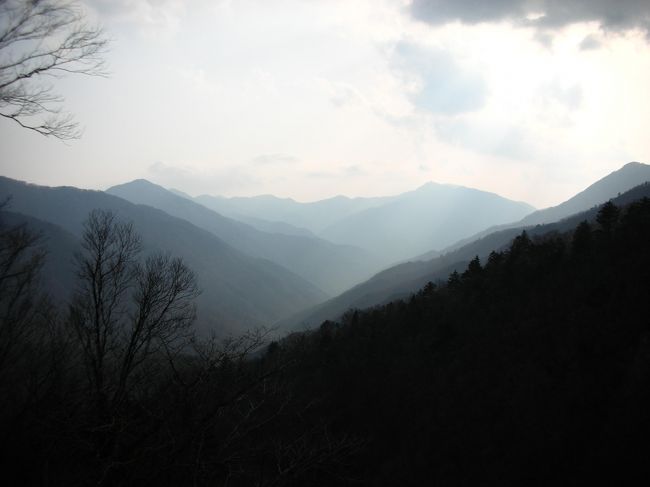 私が大好きな風景。<br /><br />祖父の故郷・徳島へはじめて足を踏み入れました。<br /><br />レンタカーを借りてのひとりたび。<br /><br />4月上旬は関東と比べてまだ少し寒く、桜がちょうど見ごろを迎えていました。<br /><br />大好きになった祖耶へまた行きたいな。