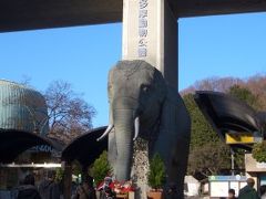 多摩動物公園に行ってきました。