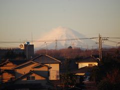 元旦のふじみ野市からの富士山