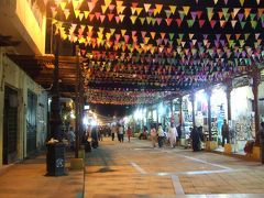 ■海外逃亡８■→エジプト…２日目アスワン