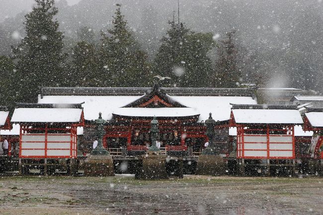 ２００７年の締めくくりは　宮島にて。　<br />厳島神社と　大聖院はお勧めです。<br /><br />雪の降る中のお参りは良かったです。