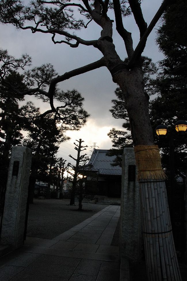 明けましておめでとうございます。<br /><br />毎年恒例で元旦に世田谷の叔母の家に親戚が集まります。<br />いつもは京王線の千歳烏山からバスに乗って久我山の方まで行きますが、ちょっと早く着いたのでブラブラと寺町通りを歩いていきました。<br /><br />寺町通りとは関東大震災(1923年)の後、浅草、築地、本所、荒川など東京の下町で焼け出された22の寺が、集団移転して出来た通りです。<br /><br />詳しくは<br /><br />http://www.teramachi-ziin.com/