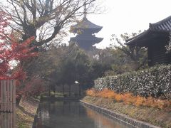 冬の京都　東寺～三十三間堂～東福寺