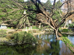 松の雪吊りを撮りに、冬の日比谷公園へ