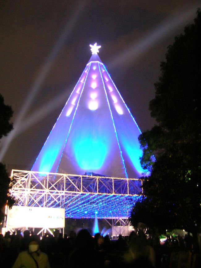 　年末も押し迫り、やっとこ出掛ける機会に恵まれました。やったぁ～。<br />　夕飯を食べに行くだけの予定だったのですが、待ち合わせが日比谷だったこともあり、せっかくなので日比谷公園Tokyo Fantasia2007の大きなクリスマスツリーを見てみることに。<br />　日本一というだけあり、確かに大きいのだが。。。これはツリーなのだろうか？パネル？？<br />　う～ん、と悩んでいたら、人がどんどん増えてきたので退散です。<br /><br />　夕飯は、大好きなタイ料理を選択。<br />　なんと、昔からあったタイ料理屋さんが29日で閉店します、との張り紙が入口に。。。かなりがっかりしながら最後の晩餐（？）へ。<br />　でも、スタッフの方の話しでは、もしかしたらオーナーが代わってそのまま同じスタッフで営業する可能性もあるそうで、少し期待。<br />　是非、営業を続けてほしいなぁ。なんちゃってタイ料理（アジア料理）店が多い中、本格的な料理が食べられる数少ない店なんだから！！<br /><br />　翌日は、銀座でランチ。上海蟹のあんかけ炒飯が手ごろな値段で食べられるとの情報をキャッチし、人生初の上海蟹を食べに行きました。ランチセットのボリュームは満点。お腹いっぱいです。<br />　ランチのあとは、散歩へ。有楽町周辺は再開発がほぼ完成し、駅前はきれいに歩きやすくなりました。そして、東京駅八重洲まで歩き、大丸に入ったのですが、帰省ラッシュも重なって大混雑。早々に退散です。どうも人混みには弱くて。。。<br /><br />　日が落ちて暗くなった5時以降は、またライトアップを見に行くことにしました。<br />　まずは、東京国際フォーラムの光の柱の間を通りぬけ、そして丸の内中通りへ。丸の内イルミネーション2007というｼｬﾝﾊﾟﾝｺﾞｰﾙﾄﾞ色のLEDライトで街路樹がライトアップされており、さらに大手町方面へ歩いていくと、光都東京・LIGHTOPIA2007のフラワーファンタジアが開催中で花と光の共演が見事。人もそこそこ出ていましたが、写真を撮れる余裕もあったし、警察の方やスタッフの方が道の整理をしていたので、見学し易かったです。<br />　そんなに長い距離ではないので、反対側の道から戻り、両側から堪能させて頂きました。大満足でしたよ♪<br />