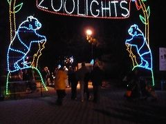 Zoo Light