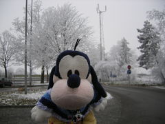 グーちゃん、オーストリアに行く！（ウィーン雪景色編）