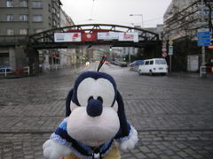 グーちゃん、チェコに行く！（プラハ・朝のお散歩編）