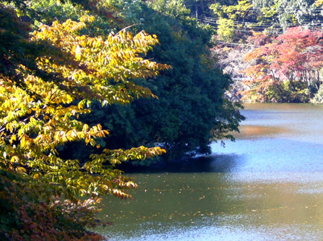 鎌北湖 紅葉にはちょっと早かった 埼玉県の旅行記 ブログ By くうさん フォートラベル