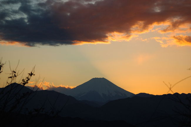 この4travelで大晦日に高尾山山頂から富士山を望むと富士の山頂に沈む夕日を見ることが出きる事を知った。いわゆるダイヤモンド富士。高尾山といえば小学生の頃家族でハイキング、高校のころは体育の屋外授業でなじみの深いところだが山頂から富士山が見えることすら私は知らなかった。<br />そして今回年末年始の帰省のときその富士山を見ることにした。<br />しかしあいにくの天候で31日、1日と曇り気味。1日は午前中はものすごい快晴だったが午後から曇り。2日快晴。昼をまわってもまだ快晴。<br />20数年ぶりに高尾山へ。通学で使った中央線で高尾まで。高尾から高尾山口まで京王線。昔とあまり変わらない沿線を見ながらちょっと思い出にふけた。<br />日没まで時間ギリギリ。リフト山頂駅から走るように山頂へ。富士に沈む夕日が見えた!<br />しかし!太陽は残念ながら富士山に向かって右側の斜面に沈んでいった。真上に沈む夕日を見ることができなかった。あまり価値のある旅行記にはならないけど2008年最初の夕日の写真を見てください。<br /><br />高尾山公式ホームページ<br />http://www.takaotozan.co.jp/index2.htm