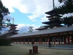 新春の古都　奈良（★世界文化遺産：薬師寺）