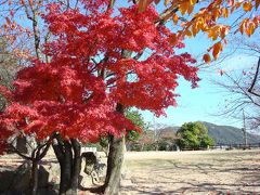 少し遅い紅葉狩り