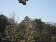 新春の和歌山城