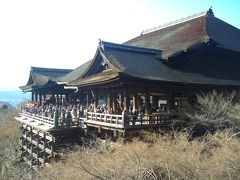 新春の古都　京都（宇治・京都）