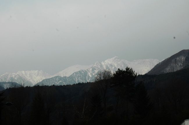 1年ぶりに駒ヶ根に行ってきました。名古屋から2時間です。<br />雪の千畳敷カールと菅の台の日帰り温泉こまの湯と、駒ヶ根ファームのおいしいパン屋さんパン工房でパンを買おうと思い出かけました。菅の台の観光案内所で千畳敷の天候を尋ねると晴れ、強い風との事、菅の台は太陽が出ているけれど南アルプスは厚い雲、駒ケ岳方向は中腹までは見渡せるが上は霞か雲か見えない状態。バス・ロープウエイで往復3,800円女房と二人で7,600円登ったら霞か雲で何も見えなかったら・・・・迷いに迷って登るのは中止。こまの湯へ直行し(いつ来てもこの温泉は良い)その後定番の光前寺へ彫刻物の素晴らしさに今発見写真に収める。<br />昼は光前寺そばを食べ、今日のもうひとつの目的の駒ヶ根ファームパン工房へ・・光前寺とパン工房をアップします。