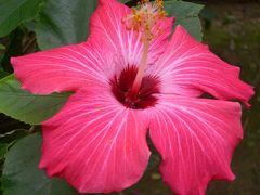 年末年始♪沖縄旅行２日目