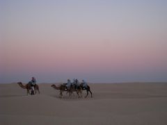 憧れのチュニジア周遊8日間　⑤　＜オアシスの村々とサハラ砂漠でラクダ乗り　（ドゥーズ）＆マトマタ＞