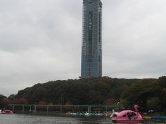 名古屋市・東山動植物園の紅葉