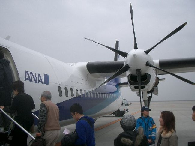 14:30 NGO 発 ANA NH3204便 NRT 行きはプロペラ機です。一瞬、Bombardia Dash-8 かと心配したのですが、Fokker-50 で、胸をなでおろしました。１月１１日に乗ったのですが、１月１８日には油漏れで、引き返えし、代替機を飛ばしたようです。<br />プロペラ機もなかなかいいものですよ。