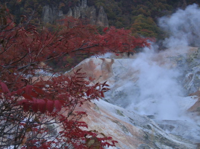 マイレージで行くなら、なるべく遠いところへ飛ぼう！<br />で今回は２６年ぶりの札幌へ<br />札幌を起点に１泊、さぁどこへ行こう？　近くに温泉はないかと検索するうち、無料送迎バスのある登別温泉を見つけました。<br /><br />この旅行は４トラを意識する以前のもので、景色をバックに人物が入っている写真ばかり・・昔はほとんどがそうでした(^^ゞ