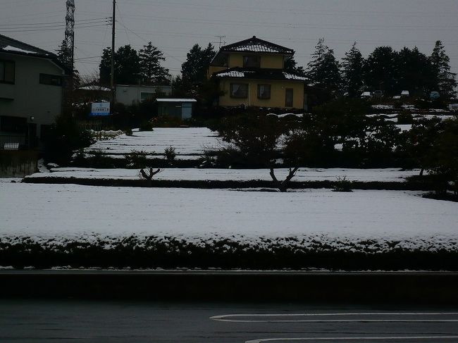 昨夜、雨音がしなくなったので<br />外を覗いたら驚きました！<br />一面雪景色でした！<br />寒気の影響で滅多に降らない<br />富士市にもとうとう初雪！<br />その上３ｃｍ程の積雪！<br />