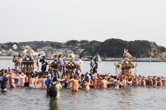 大寒を前に、江ノ島東浜で開かれた「寒中神輿錬成大会」を見に出かけました。<br />このイベントは、新成人を祝うとともに一年間の無事を祈願して、４基の神輿が寒風の中、海に入り渡御します。<br /><br />その後、鎌倉の長谷寺へ行きましたが、なんと！４travelの公式オフ会「デジタル一眼レフカメラ講習会」の皆さんと遭遇。<br /><br />帰宅後、お気に入りのトラベラーさんも参加されていたと伺い、ビックリ！！世の中狭いですね。<br /><br />＊長谷寺で突然、デジカメのメディア（ＣＦカード）がエラーとなり、使えなくなってしまいました。この日撮影した写真が全てパーになり落ち込んでいたのですが、何とか写真の救出に成功。やっと旅行記ＵＰに漕ぎつけられました。<br />